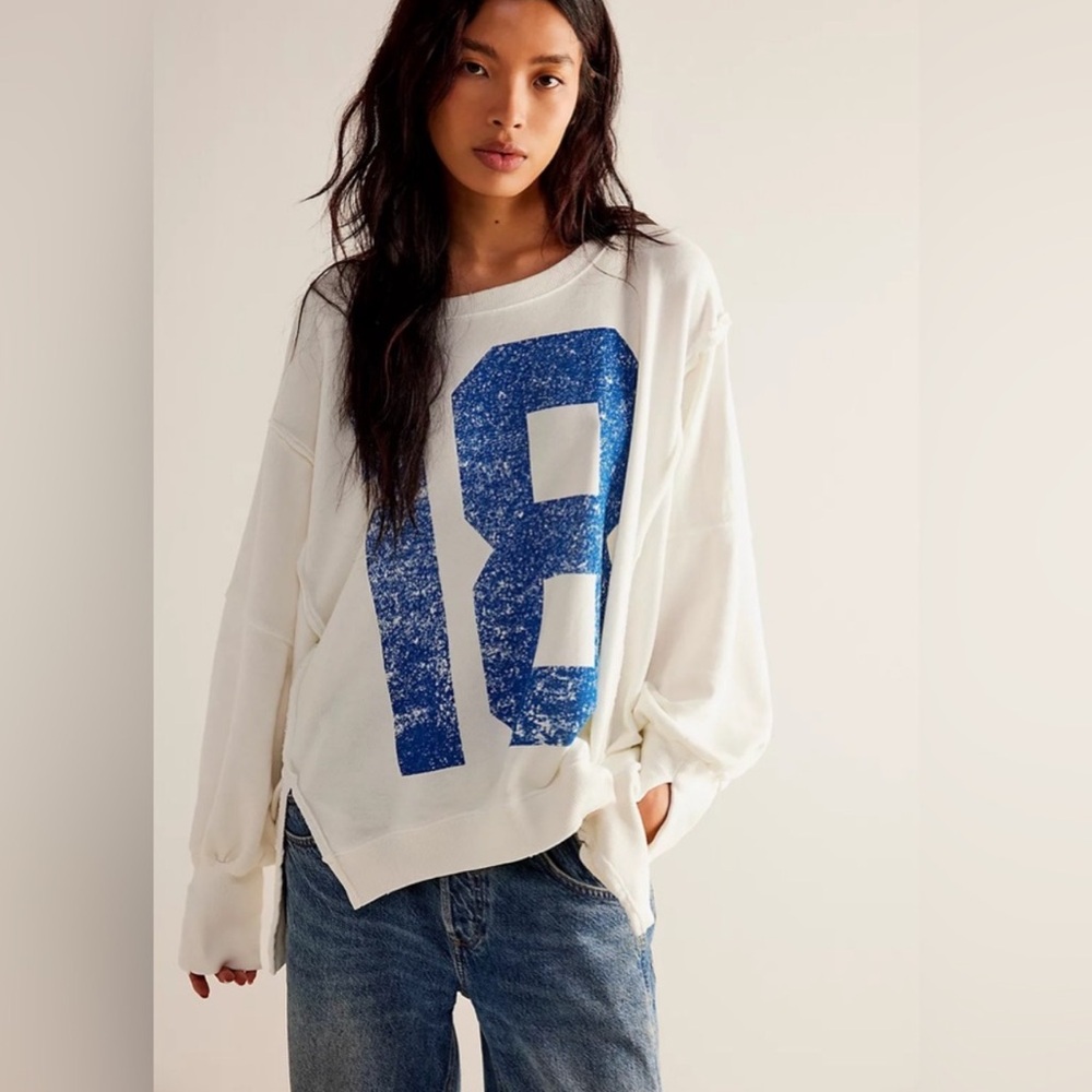 Free people We The Free Graphic 18 Camden Pullover
